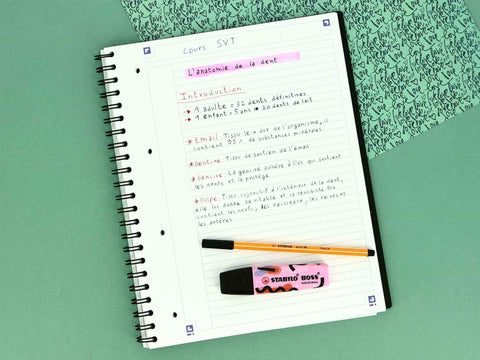 Vrai ou faux : faut-il noter tout ce que dit un prof au collège ?