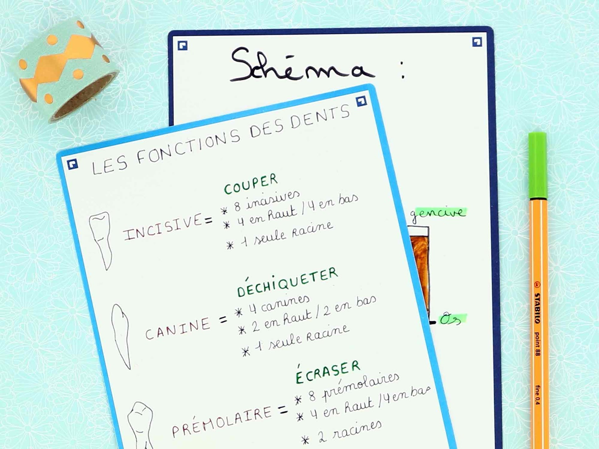 Utiliser les schémas pour mieux apprendre - Oxford Révision