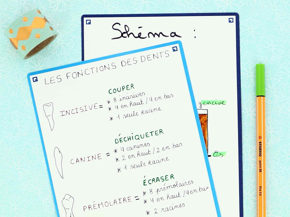 Utiliser les schémas pour mieux apprendre - Oxford Révision