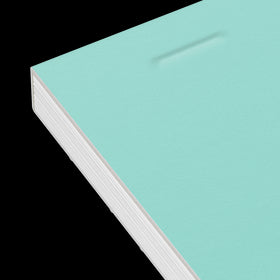OXFORD bloc notes perforé Smart # A4+ - Grands carreaux - 80 feuilles agrafées (160 pages) - Compatible Scribzee - Vert pastel