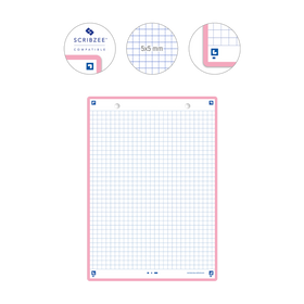 Fiches de révision REVISION 2.0 OXFORD # 50 fiches 14,8 x 21 cm - petits carreaux