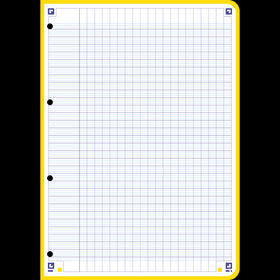 Feuilles Simples COLOR SYSTEM OXFORD # 200 pages A4 perforées - grands carreaux - 5 couleurs de cadres