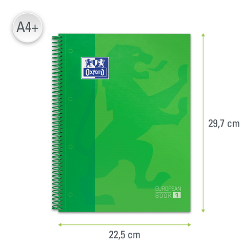 Cahier A4 160 pages petits carreaux couverture plastique vert Miquelrius
